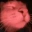 catJam