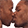 hpbLgbt