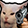 hpbPovtorika